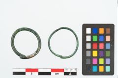 Foto von Bronzering (NHMW-PRAE-026202)